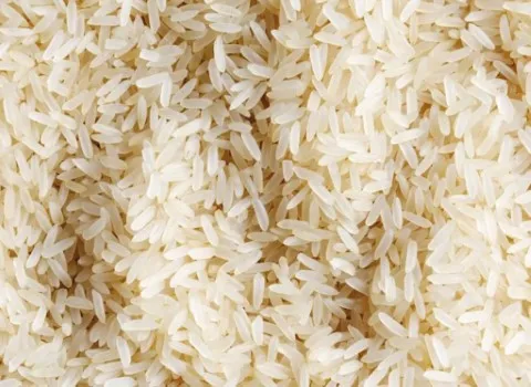 قیمت خرید برنج عمده شمال + فروش ویژه